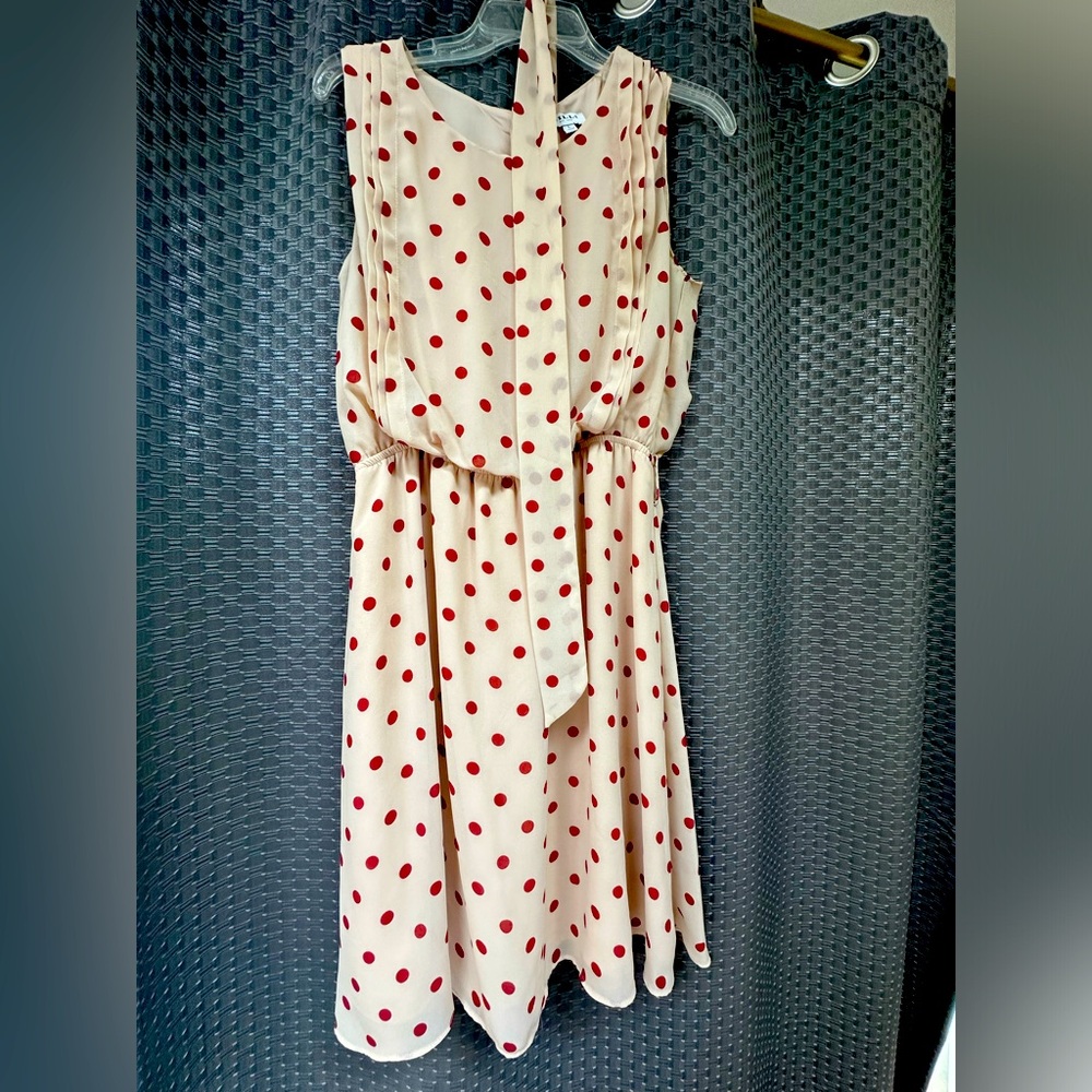 Beige color red polka dot chiffon dress
